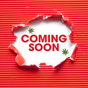 ckdistro coming soon
